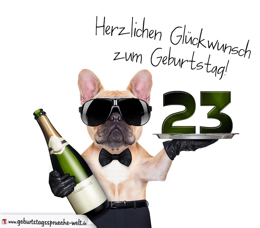 Glückwunschkarte mit Hund zum 23. Geburtstag GeburtstagssprücheWelt