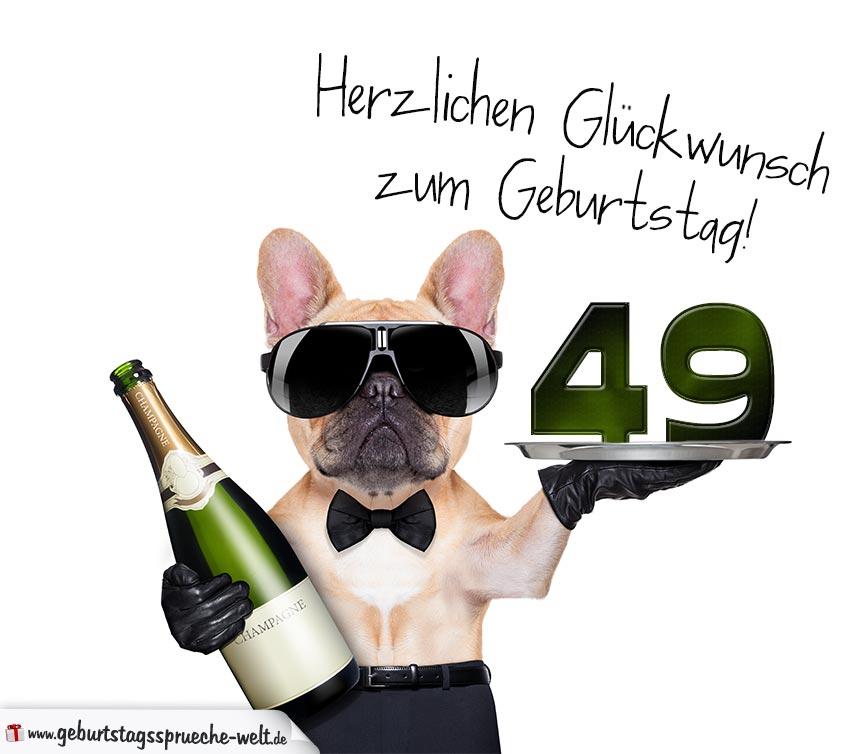 Glückwunschkarte mit Hund zum 49. Geburtstag GeburtstagssprücheWelt