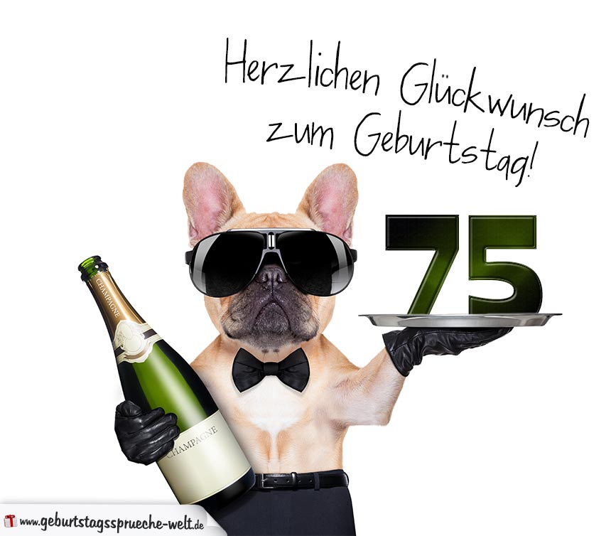 Glückwunschkarte mit Hund zum 75. Geburtstag GeburtstagssprücheWelt