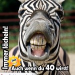 Geburtstagskarte zum 40. Geburtstag mit Zebra