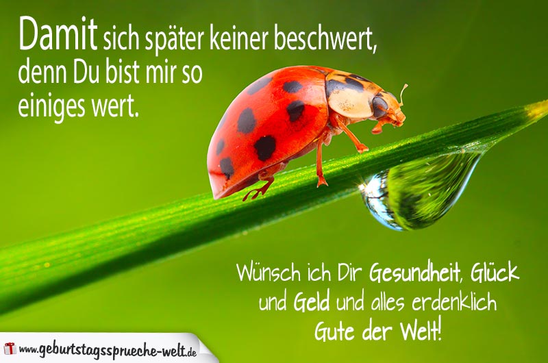 36++ Glueck zum geburtstag spruch information