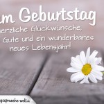 Spruchkarte zum Geburtstag zum Versenden