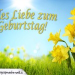 Geburtstagskarte mit sonniger Wiese und gelben Blumen