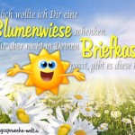 Schöne Blumenwiese mit Geburtstagsspruch