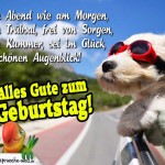 Glückwunschkarte zum Geburtstag: Hund fährt im Auto und schaut aus dem Beifahrerfenster