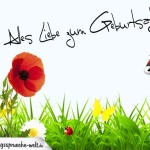Geburtstagskarte mit Blumenwiese und Marienkäfer für jedes Alter