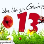 Geburtstagsspruch als Karte zum 13. Geburtstag