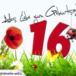 Geburtstagsspruch als Karte zum 16. Geburtstag