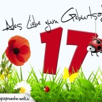 Geburtstagsspruch als Karte zum 17. Geburtstag