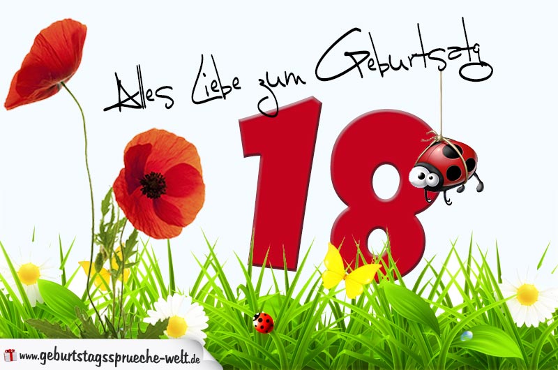 Geburtstagskarte mit Blumenwiese zum 18. Geburtstag