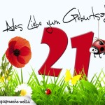 Geburtstagsspruch als Karte zum 21. Geburtstag