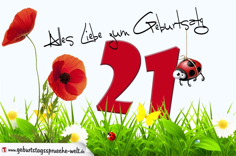 Zum geburtstag geburtstagssprüche 13 Sprüche Zum