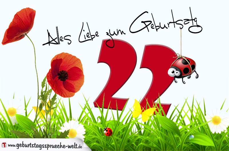 39++ Zum 22 geburtstag sprueche information