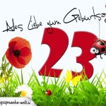 Geburtstagsspruch als Karte zum 23. Geburtstag