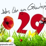 Geburtstagsspruch als Karte zum 29. Geburtstag