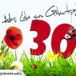 Geburtstagsspruch als Karte zum 30. Geburtstag