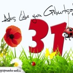 Geburtstagsspruch als Karte zum 31. Geburtstag