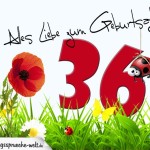 Geburtstagsspruch als Karte zum 36. Geburtstag