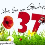 Geburtstagsspruch als Karte zum 37. Geburtstag