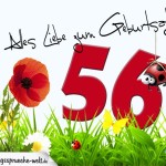 Geburtstagsspruch als Karte zum 56. Geburtstag