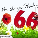 Geburtstagsspruch als Karte zum 66. Geburtstag