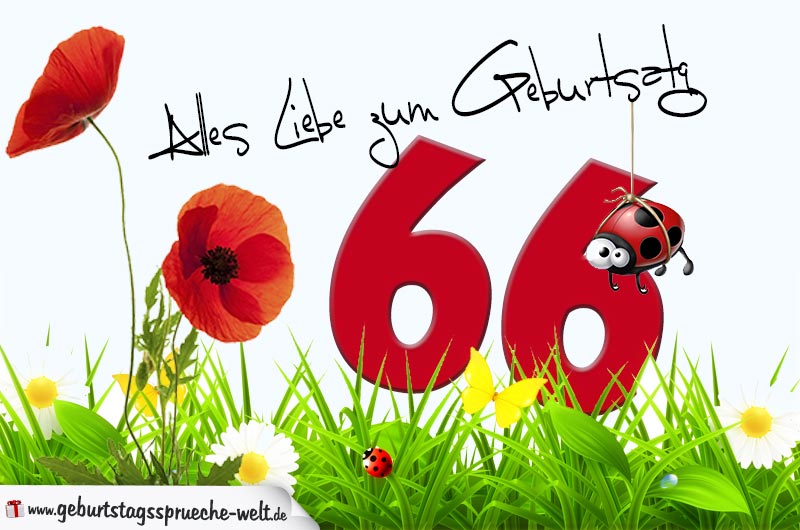 50++ Sprueche zum 66 geburtstag info