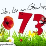 Geburtstagsspruch als Karte zum 73. Geburtstag