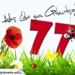 Geburtstagsspruch als Karte zum 77. Geburtstag