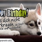 Happy Birthday Geburtstagskarte mit traurigem Hund