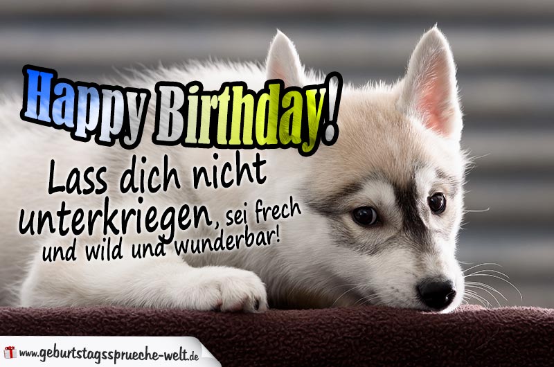 Happy Birthday Geburtstagskarte mit traurigem Hund