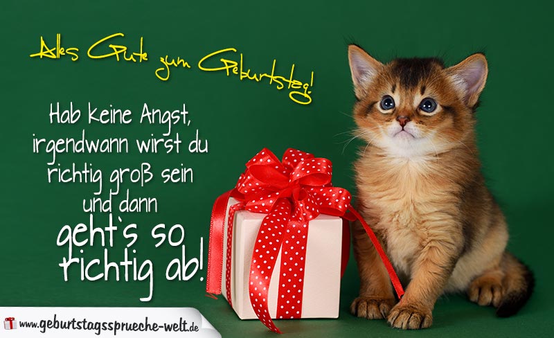 Geburtstagskarte für Kinder mit Katzenmotiv