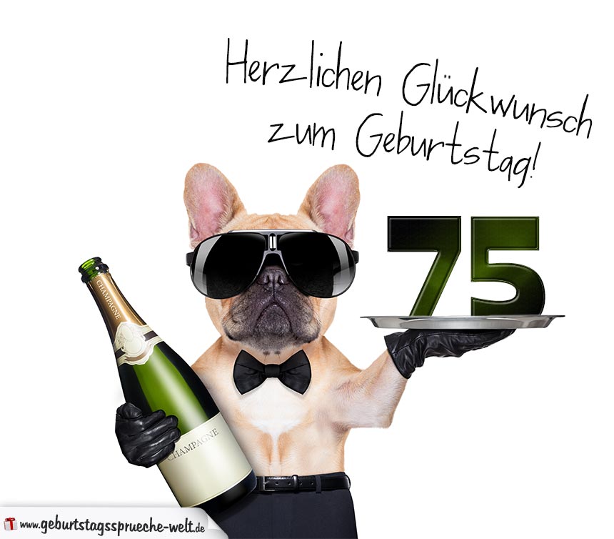 Gluckwunschkarte Mit Hund Zum 75 Geburtstag Geburtstagsspruche Welt