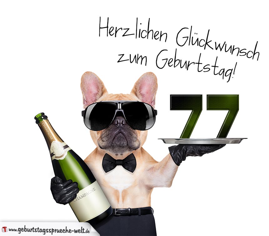 Glückwunschkarte Mit Hund Zum 77 Geburtstag