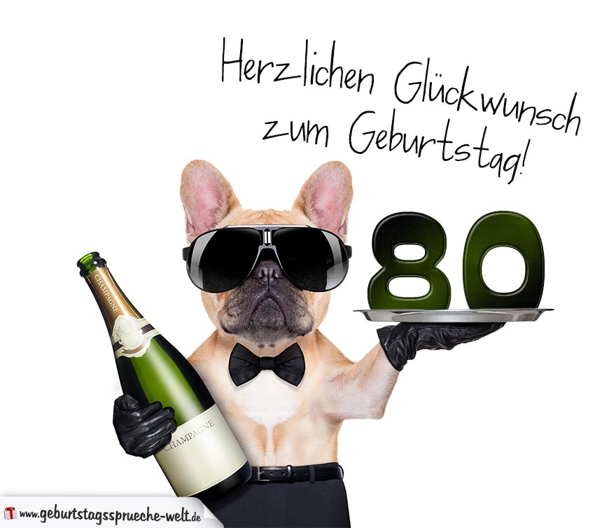 Glückwunschkarte mit Hund zum 80. Geburtstag - Geburtstagssprüche-Welt