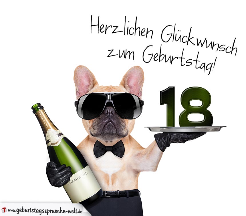Glückwunschkarte mit Hund zum 18. Geburtstag GeburtstagssprücheWelt