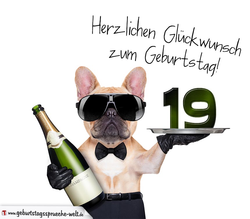 Glückwunschkarte mit Hund zum 19. Geburtstag GeburtstagssprücheWelt