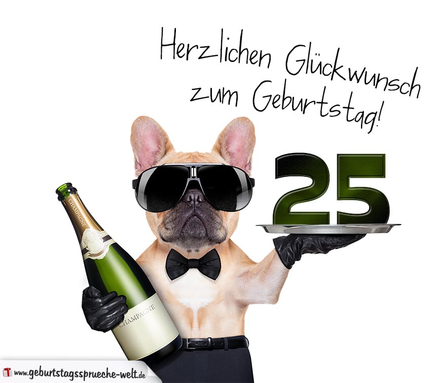 Glückwunschkarte mit Hund zum 25. Geburtstag GeburtstagssprücheWelt
