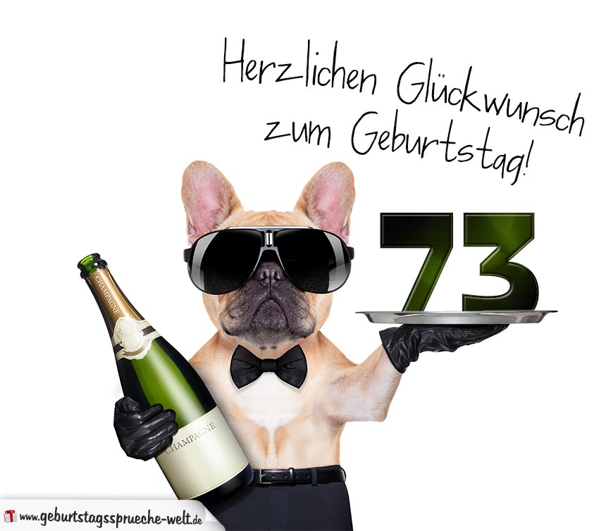 Glückwunschkarte mit Hund zum 73. Geburtstag GeburtstagssprücheWelt