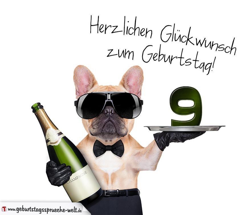 Glückwunschkarte mit Hund zum 9. Geburtstag GeburtstagssprücheWelt