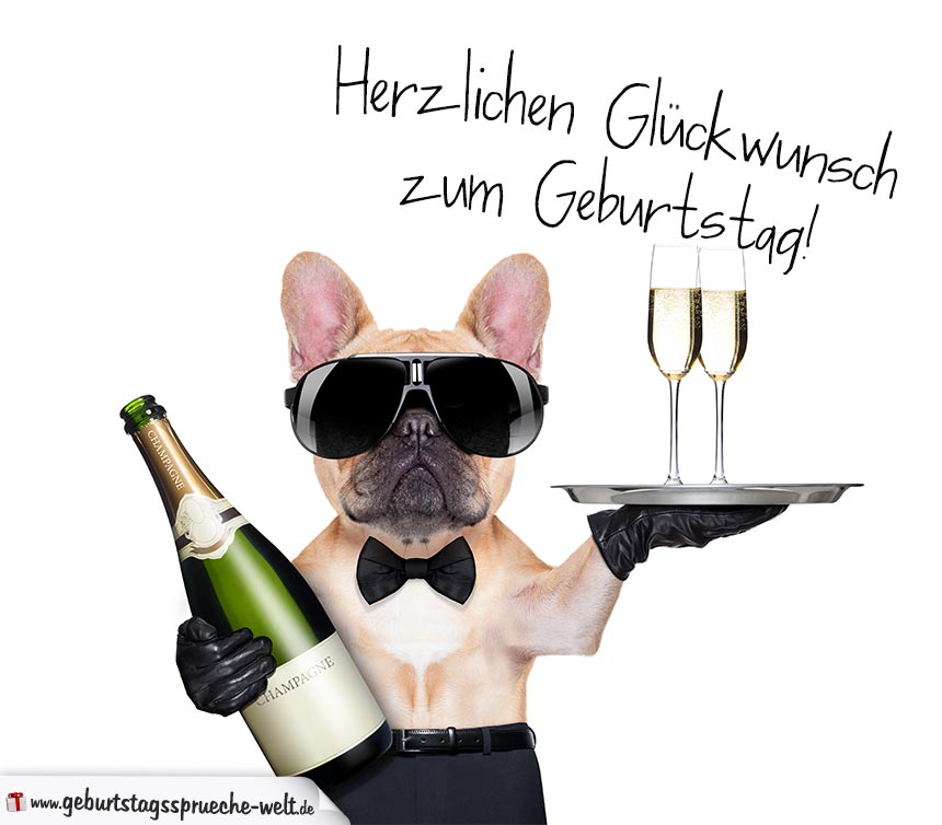 37+ Frech sprueche zum 25 geburtstag witzig info