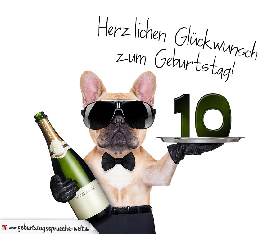 Glückwunschkarte mit Hund zum 10. Geburtstag GeburtstagssprücheWelt