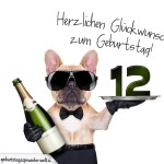 12. Geburtstag Geburtstagssprüche