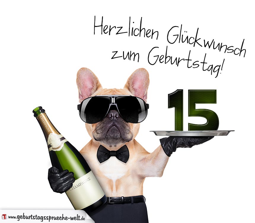 Glückwunschkarte mit Hund zum 15. Geburtstag GeburtstagssprücheWelt