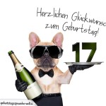 17. Geburtstag Geburtstagssprüche