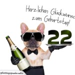 22. Geburtstag Geburtstagssprüche
