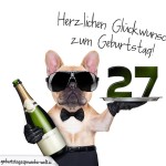 27. Geburtstag Geburtstagssprüche