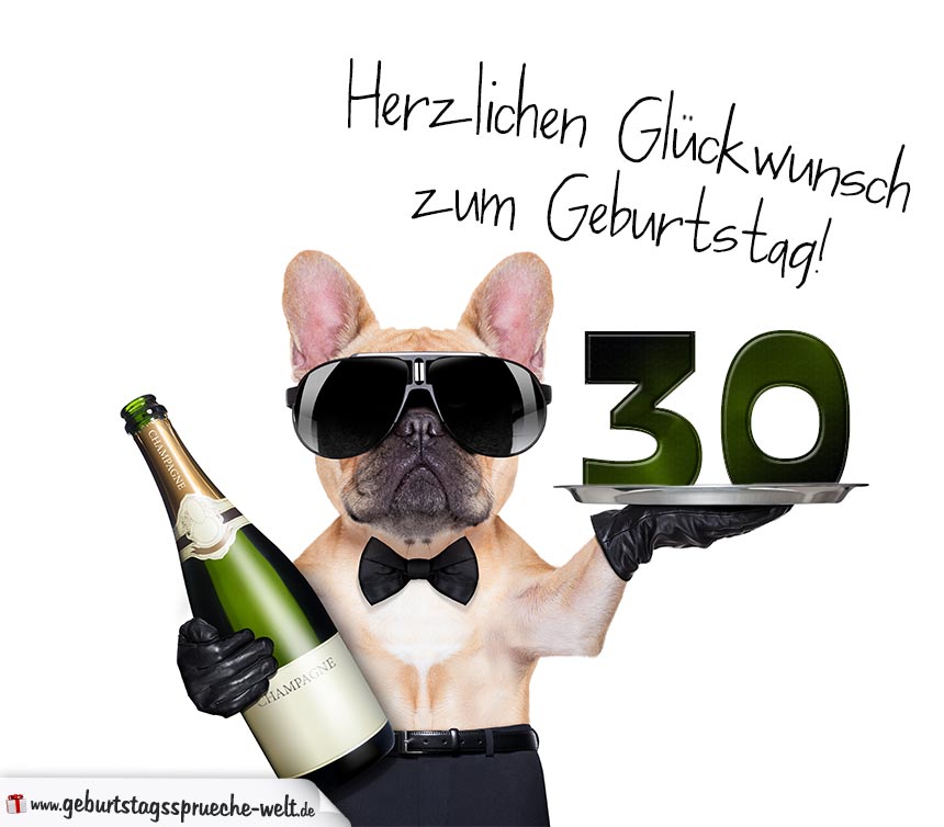Glückwunschkarte mit Hund zum 30. Geburtstag GeburtstagssprücheWelt