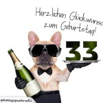 33. Geburtstag Geburtstagssprüche