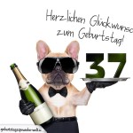 37. Geburtstag Geburtstagssprüche