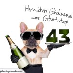 43. Geburtstag Geburtstagssprüche